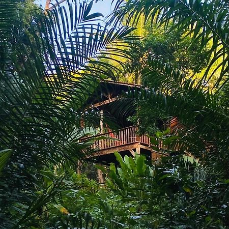 Pousada Anjali Velha Boipeba Luaran gambar