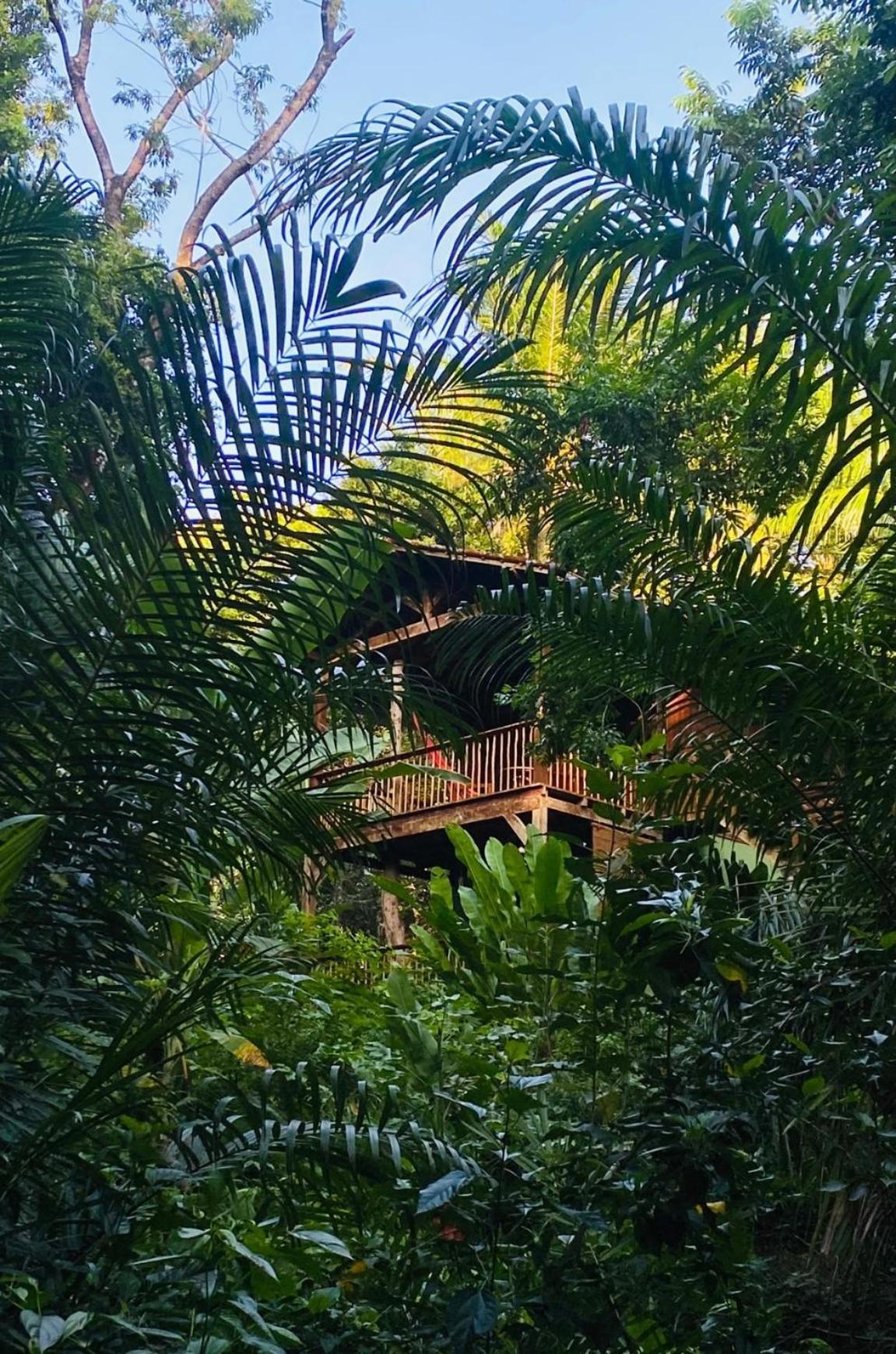 Pousada Anjali Velha Boipeba Luaran gambar